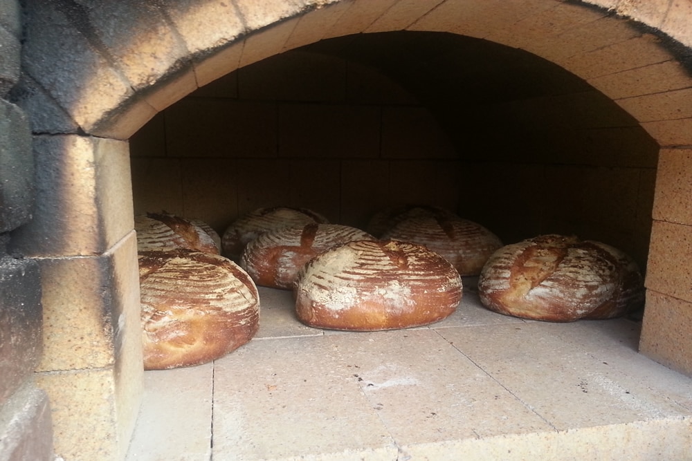Agrarisch Allemaal wervelkolom Wit brood bakken in houtoven: Alfa Forni -